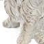 Figurine d'épagneul cocker 7,5 x 5,5 x 8,7 po avec finition beige naturelle
