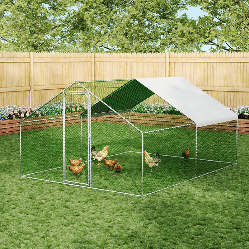 7.82m² Chicken Coop