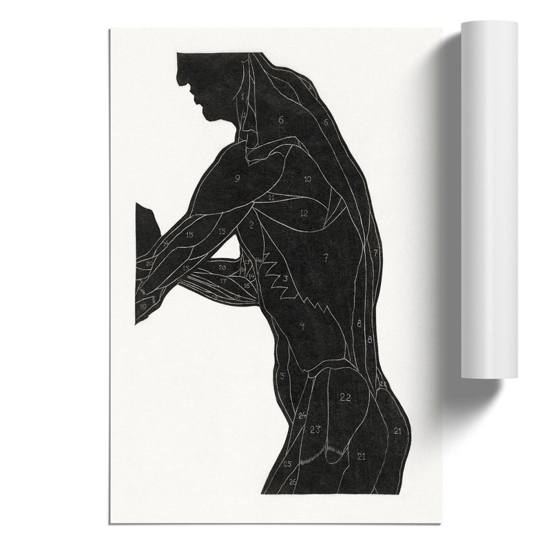Anatomical Study Of A Man Vol.6 by Reijer Stolk - No Frame Painting, 42cm H x 30cm W x 0.1cm D