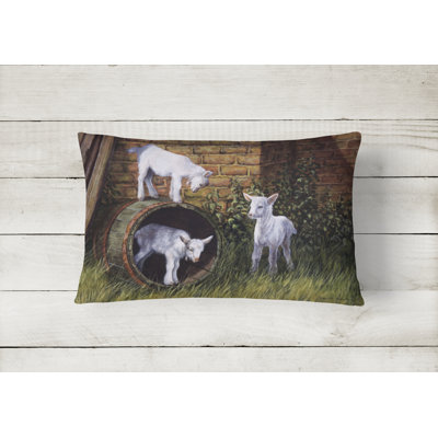 Outdoor Throw Pillow