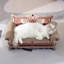 Grattoir pour chat à motif touffeté de style victorien 12,5 pouces Fairela