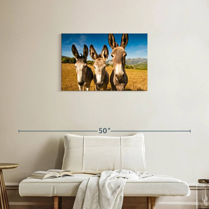 Brampt Donkey Trio, H 20 po x l 30 po