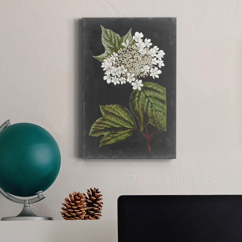 Fleurs blanches dramatiques III - impression, H 36 po x l 24 po x P 1 po