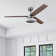 52" Ceiling Fan with LED Light