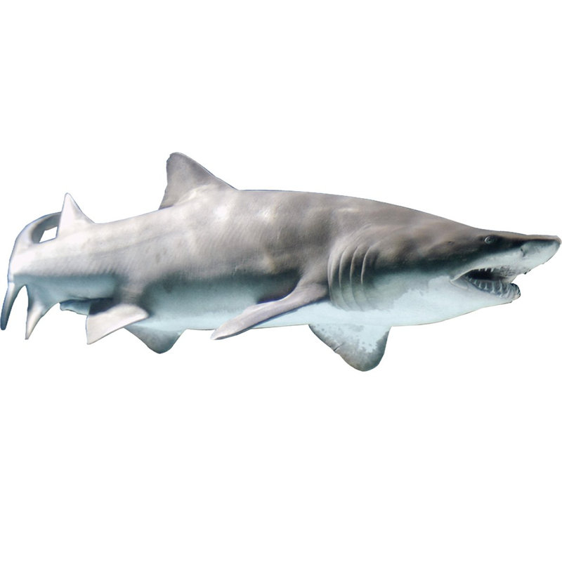 Adhésif décoratif requin réaliste, H 16 po x l 36 po x P 0,01 po