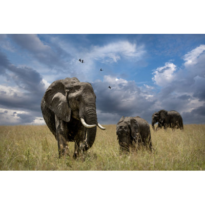Wrapped Canvas Print