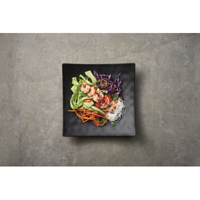 Pigment Melamine Dinner Plate