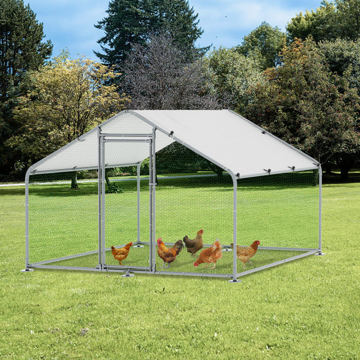 Archie & Oscar™ Cinderford Chicken Run & Reviews | Wayfair