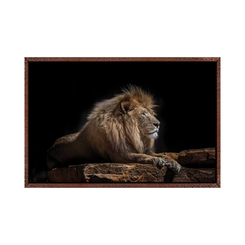 Lazarus by David Whelan - Print on Canvas, 101.6 cm H x 66.04 cm W, Classic Brown Wood Framed