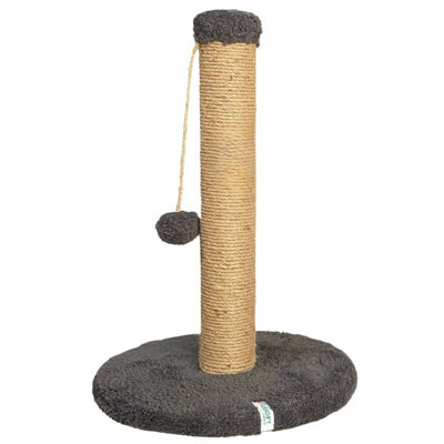 Cat Scratching Board