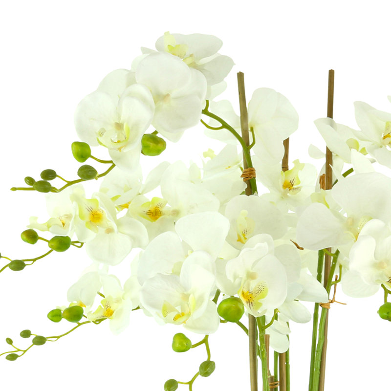 Phalaenopsis Floral Arrangement