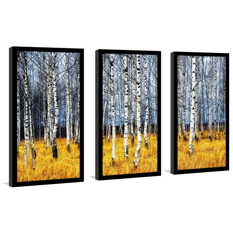Birch Trees Landscape Framed Print Set - 25.5" H x 40.5" W