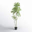 Eucalyptus artificiel pissenlit en pot