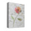 «Botanical Emb broderie II» par Carol Robinson, reproduction d'art sur toile tendue-1852197666