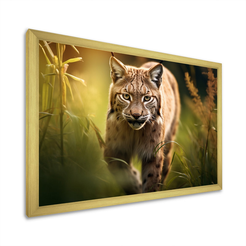 Portrait de lynx brun dans la nature I, Cadre photo doré, H 30 po x l 40 po x P 1,5 po