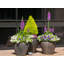 Pot de fleurs extra large en céramique émaillée, style aquarium - Intérieur/Extérieur-1583461191-1583461188