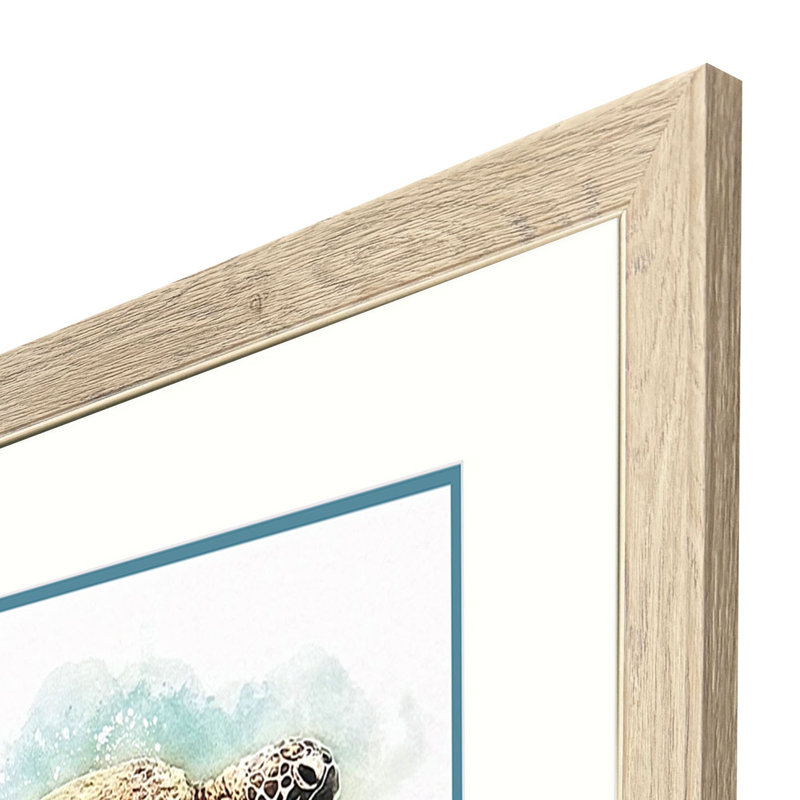 Tortue hawaïenne, art encadré