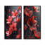 Ensemble de 2 fleurs monochromes rouges et noires d'hiver I - Flowers-113334685-113334659