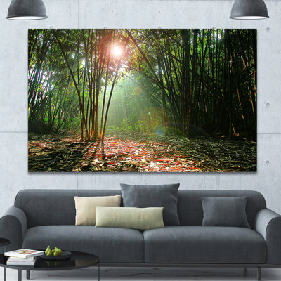 " Amazing Green Forest At Sunset "