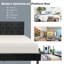 Vili Upholstered Platform Bed-1736525694
