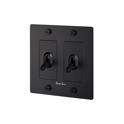 2G Toggle Switch / Logo