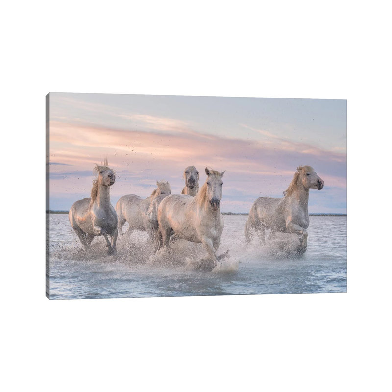 White Angels Of Camargue XXXI by Daniel Kordan - Print on Canvas, Wrapped Canvas, 66.04 cm H x 45.72 cm W x 1.91 cm D