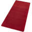 Fancy Red Rug-23403851
