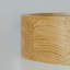 Demitria Flush Mount-1360171973-1360081392