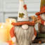 Ensemble de 3 gnomes décoratifs d'automne