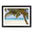 Black Framed