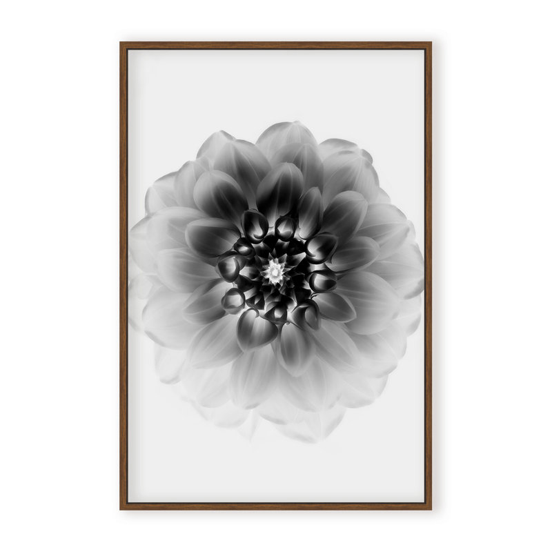 X-Ray Print by Alex Zhao, 48" H x 32" W x 1.125" D, Black, Framed Matted Print