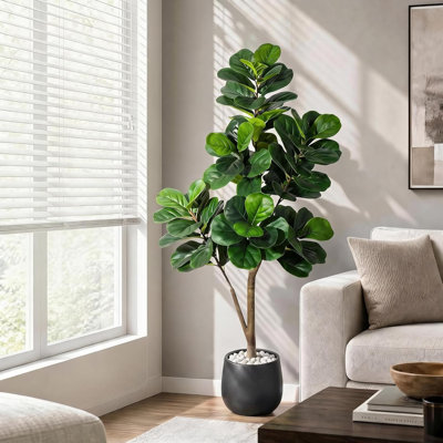 210cm Plant