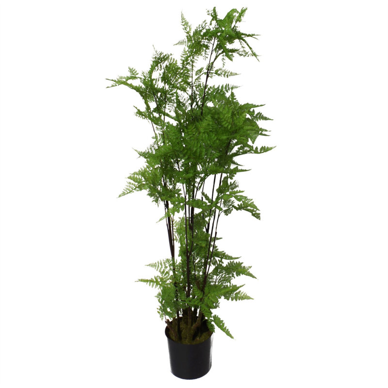 150cm Plant, Silver