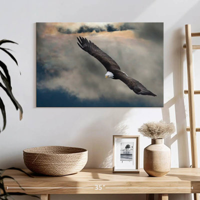 Brampt Soaring Eagle