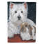 Drapeau de maison Hvidovre Sheltie Halloween en polyester à 2 faces 3 x 2 pi-81031298