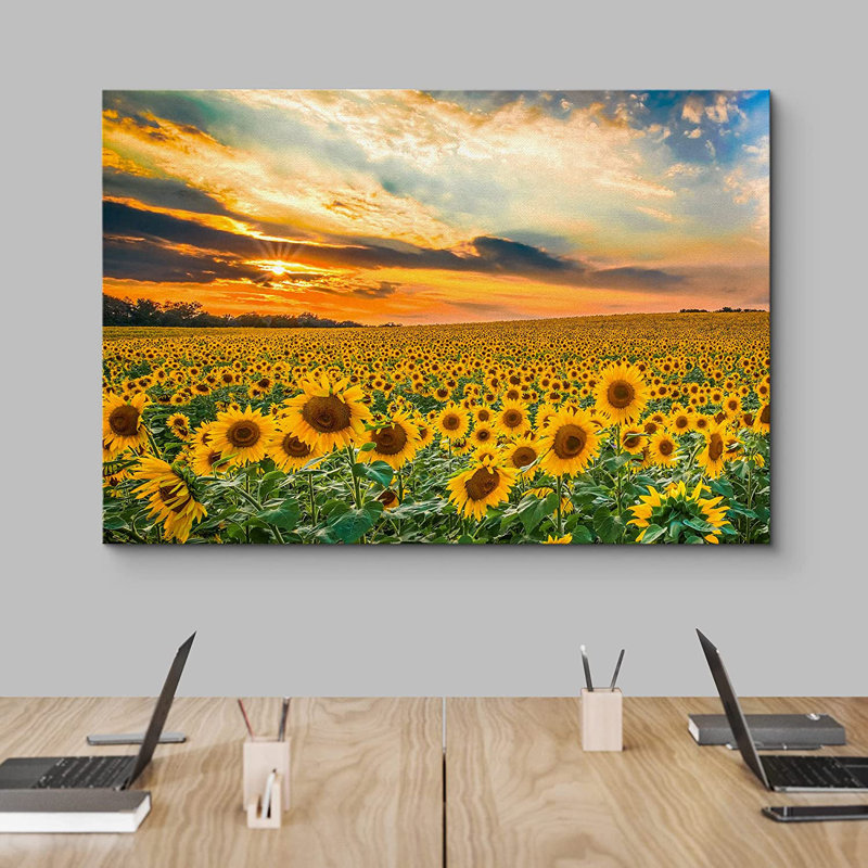 Sunflower " Summer Sunflower Field Sunset ", 32" H x 48" W x 1.5" D