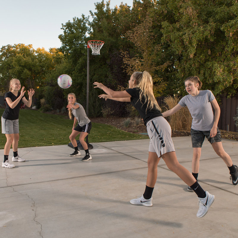 Lifetime Netball