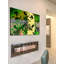 Parvez Taj - Wrapped Canvas Print-16673376