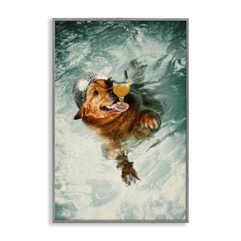 Disco Dog in Pool, estampe numérique encadrée par Graffi * té Studios, H 24 po x l 16 po, Estampe numérique Farmhouse