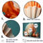 Ensemble de toiles Opulentes, coquillages symboliques II - coquillage-107745763-107745761