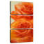 Roses classiques-1526836552