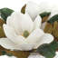 Arrangement floral magnolia