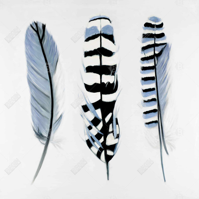 «Plumes délicates»