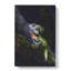 Boyds Forest Dragon - Wrapped Canvas-61848372
