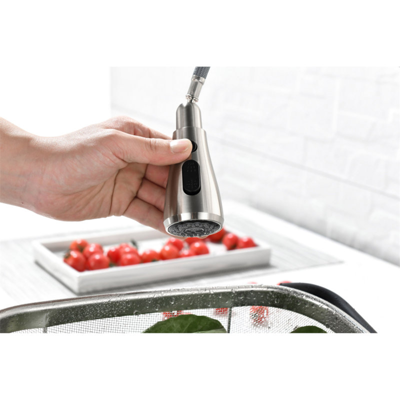 Robinet d'évier de cuisine à poignée simple avec douchette extractible