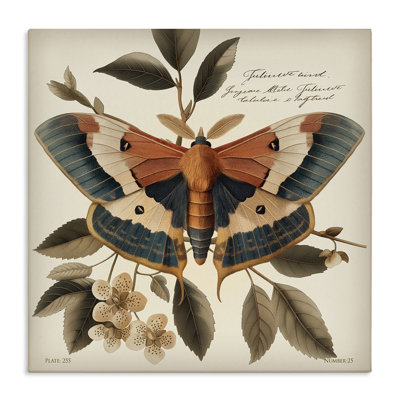 Art mural sur toile «Enchanting Moth & Plant» par Steve Huntziker