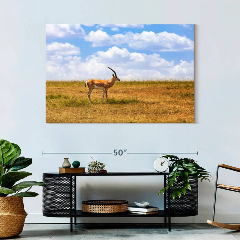 Gazelle Brampt dans la savane, H 32 po x l 48 po