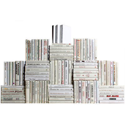 Modern Snowfall Book Wall