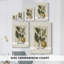 Motif floral rétro avec motif floral - Cavas-1931722562