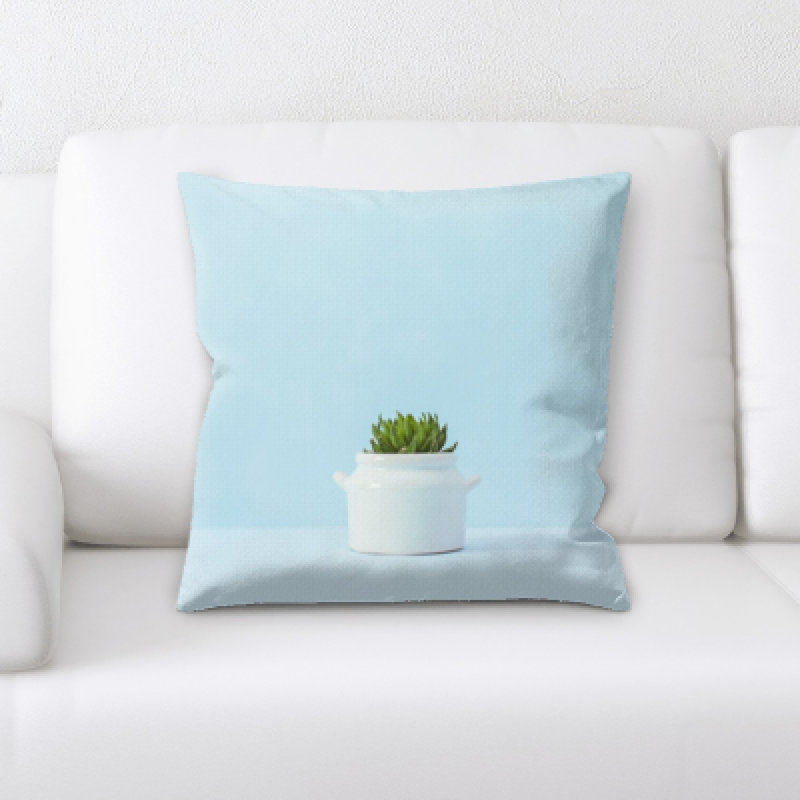 Coussin d’une plante sur un fond